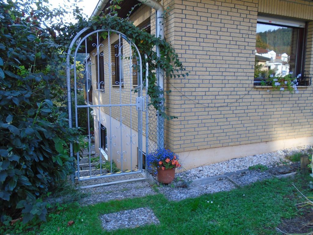 Non Smoking Traudel Engelken Apartman Neckargemünd Kültér fotó